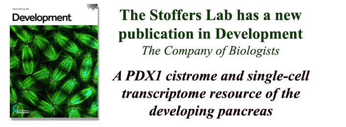 Stoffers Lab publication in Human Development 